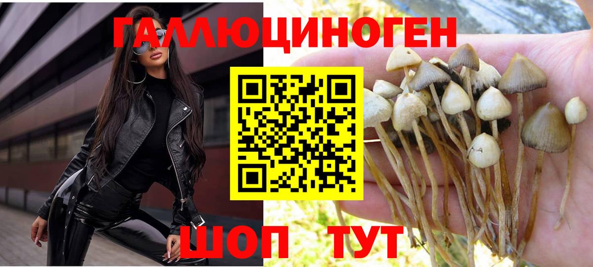 Псилоцибиновые грибы прущие грибы  Вход с VPN  Королёв 